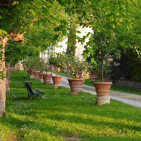 포지본시 Ginestra 아파트 외부 사진