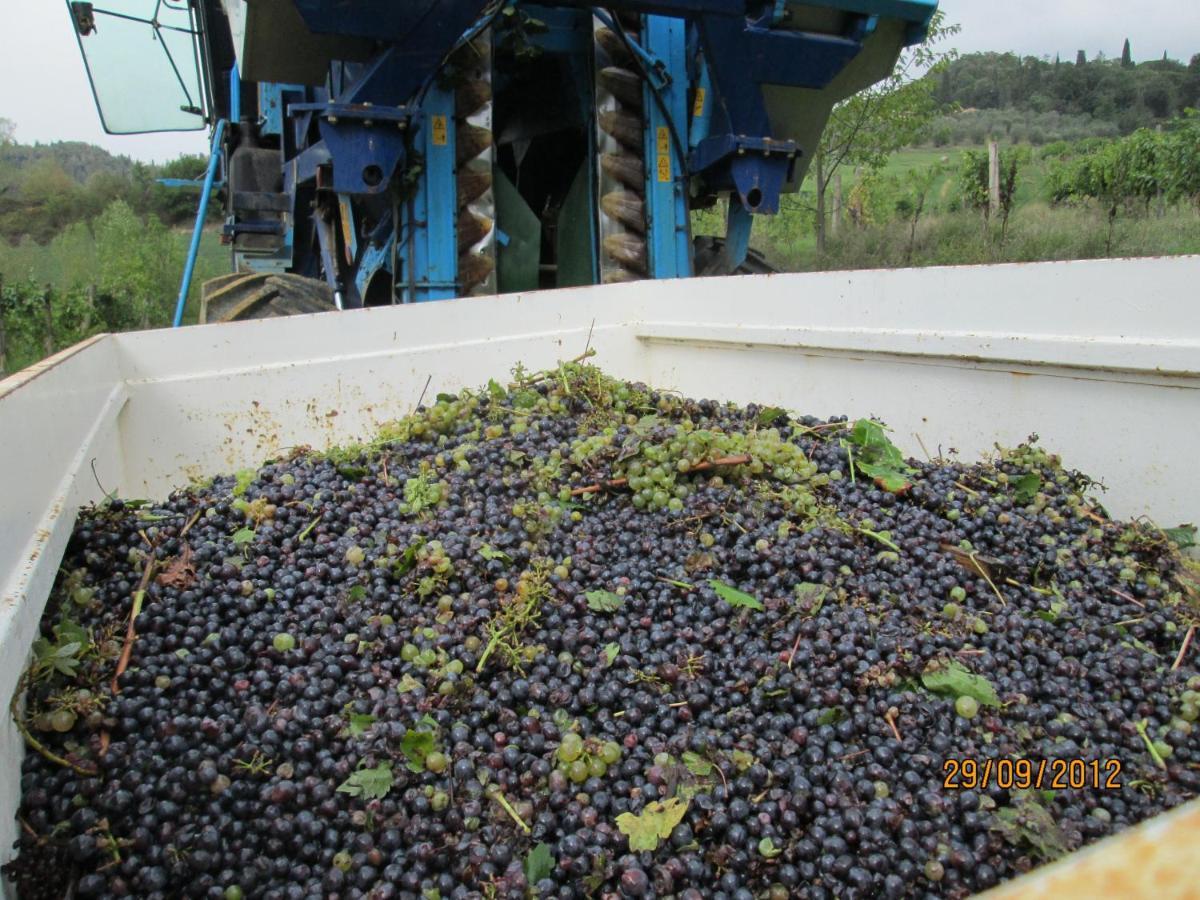 포지본시 Ginestra 아파트 외부 사진