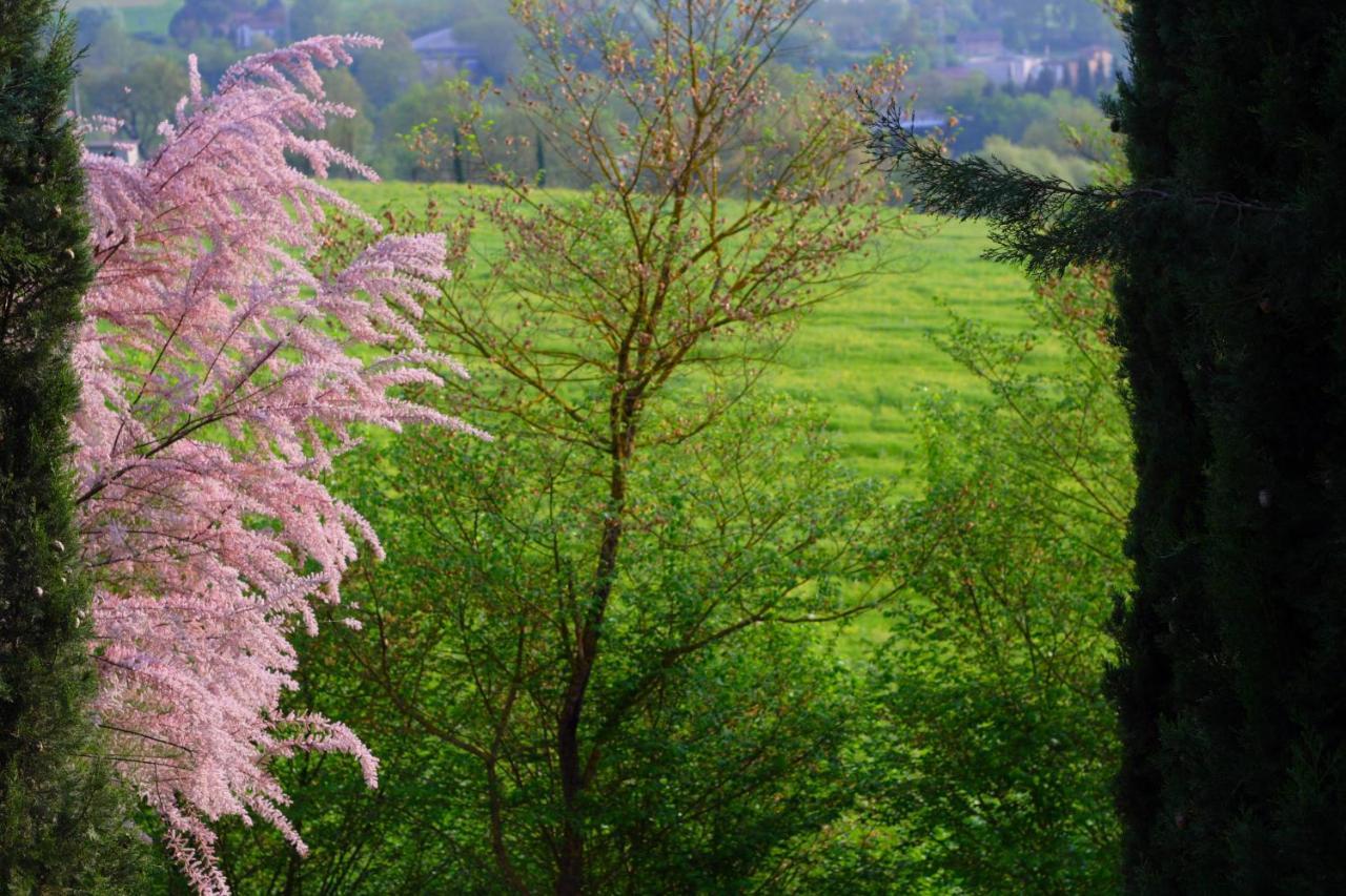 포지본시 Ginestra 아파트 외부 사진